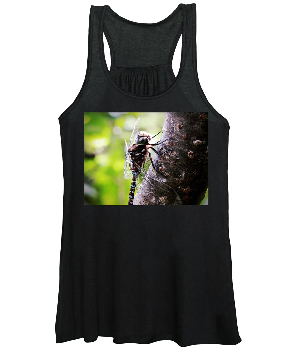 Resting Women's Tank Top featuring the photograph Resting in Sunshine by Zinvolle Art