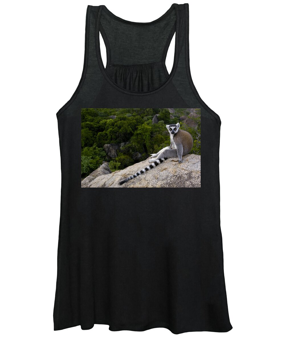 Feb0514 Women's Tank Top featuring the photograph Ring-tailed Lemur Resting Madagascar by Pete Oxford