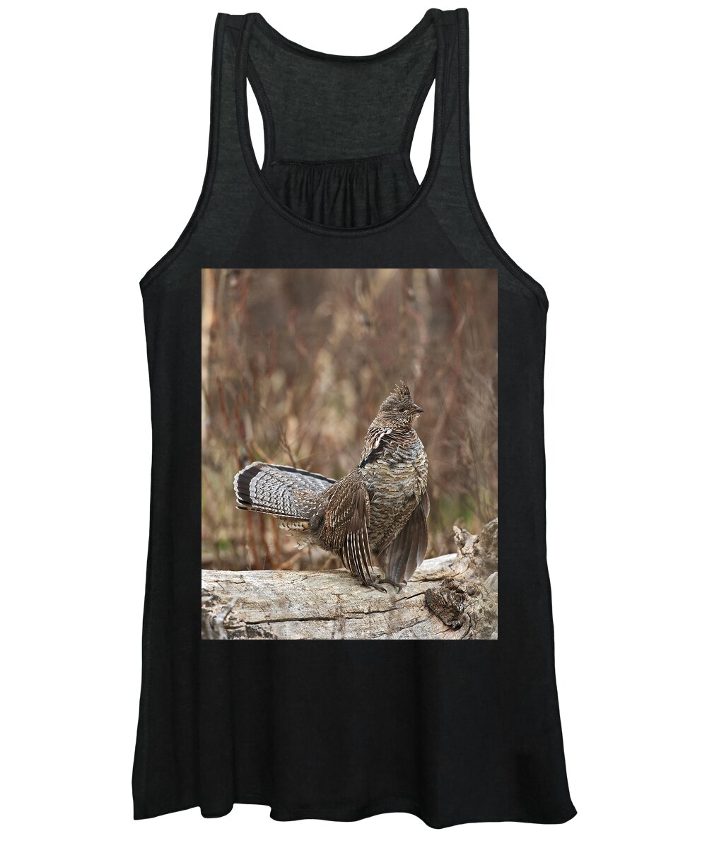Ruffled Women's Tank Top featuring the photograph Ruffled Grouse drumming 2 by Gary Langley