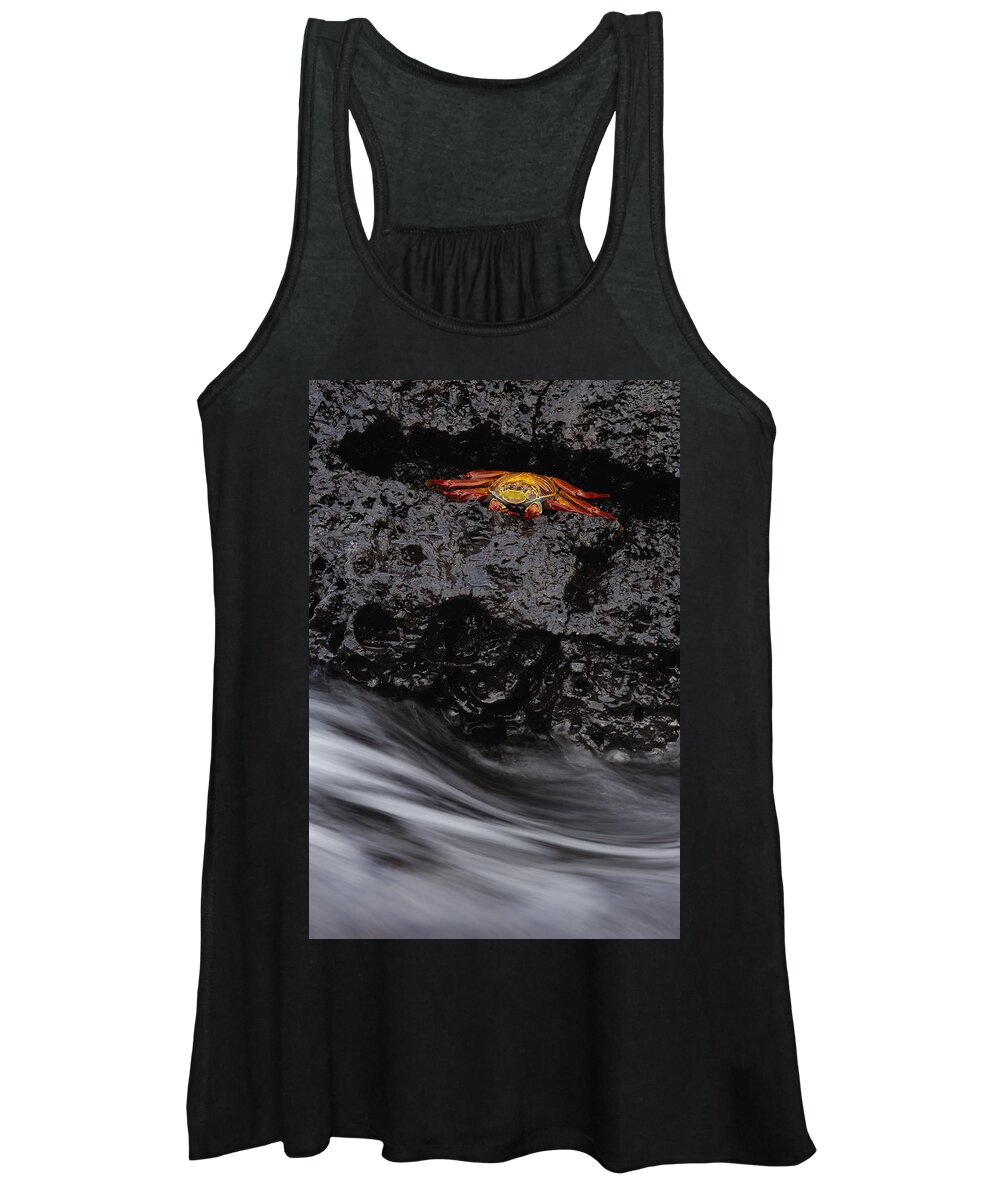 Feb0514 Women's Tank Top featuring the photograph Sally Lightfoot Crab In Crevice by Pete Oxford