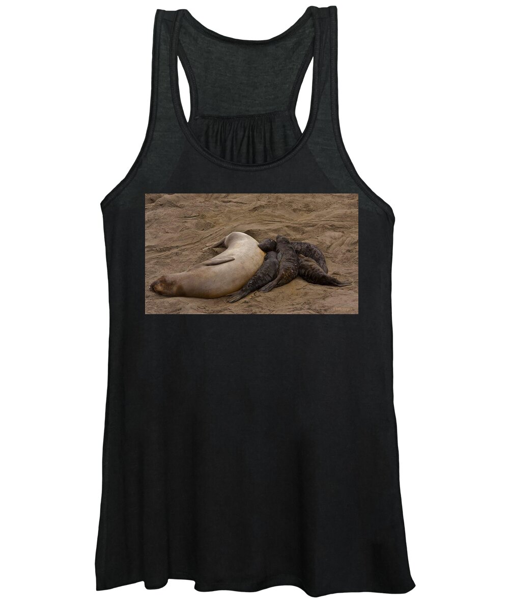 Beach Women's Tank Top featuring the photograph Seal and Pups by Beth Sargent