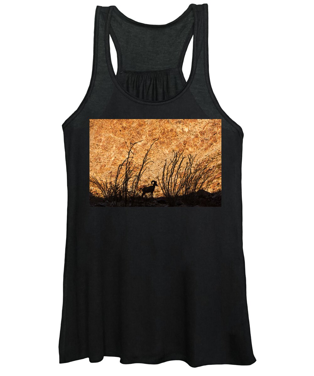 Animal Women's Tank Top featuring the photograph Silhouette Bighorn Sheep by John Wadleigh