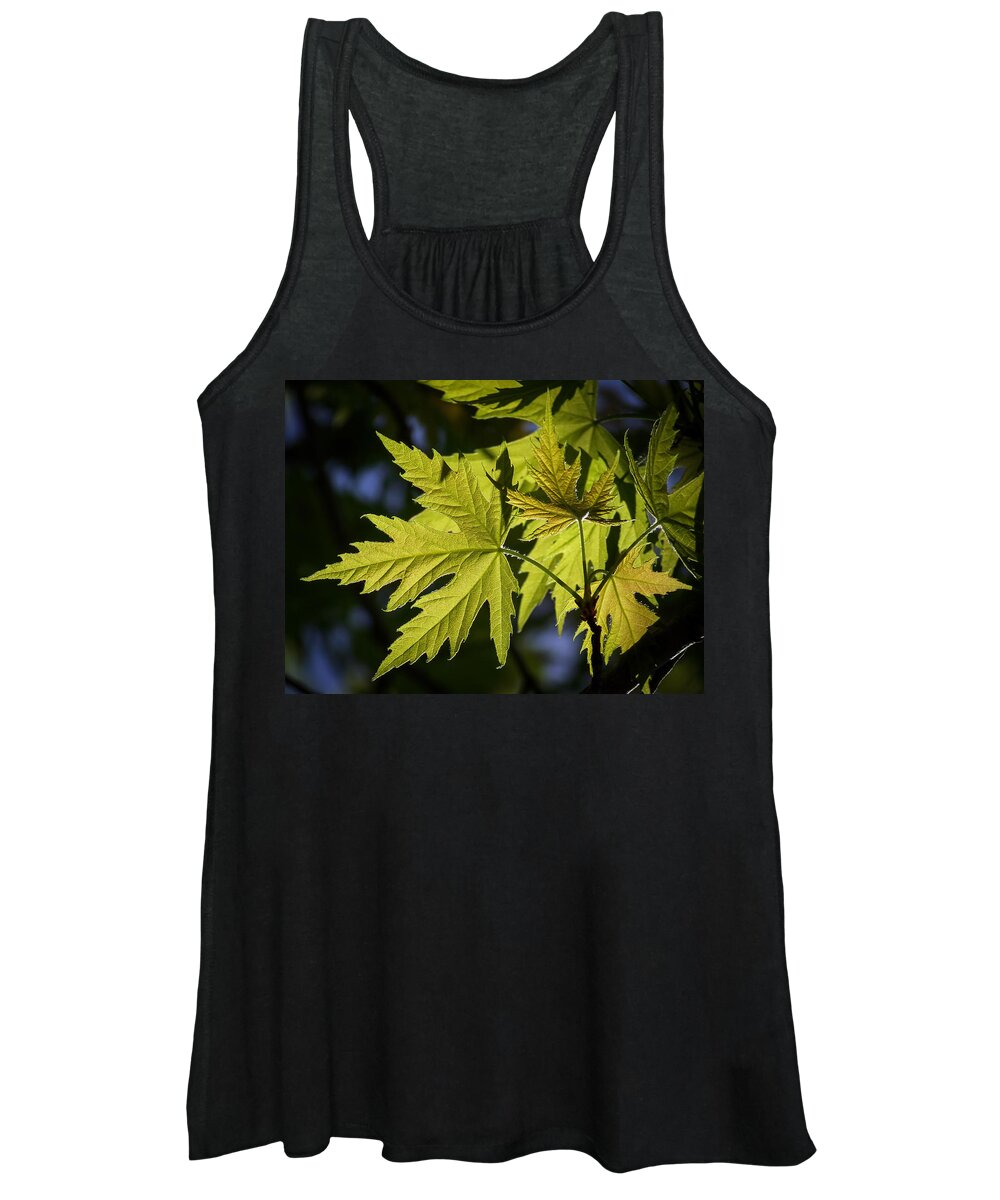 Colorful Women's Tank Top featuring the photograph Silver Maple by Ernest Echols