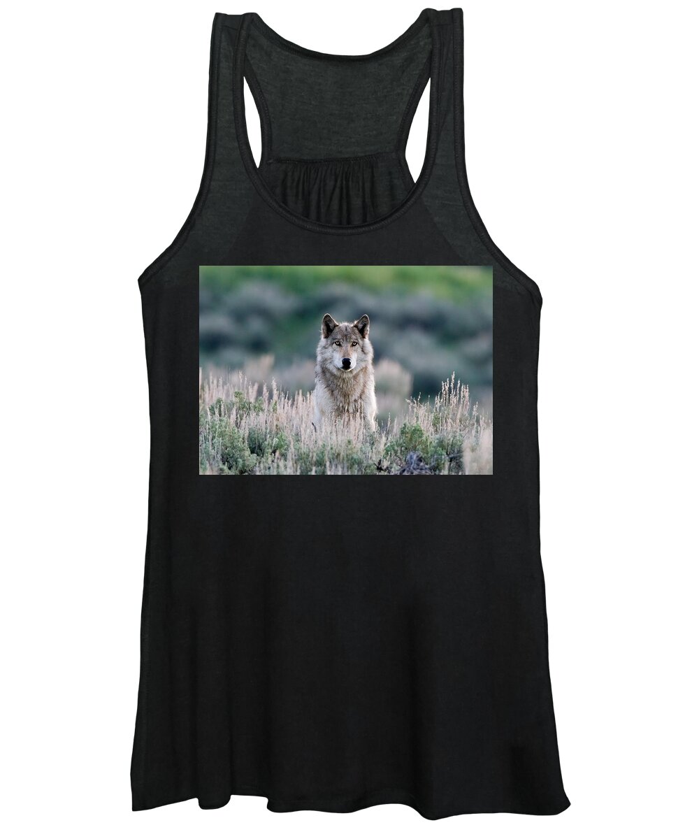 Yellowstone National Park Women's Tank Top featuring the photograph Slough Alpha by Max Waugh
