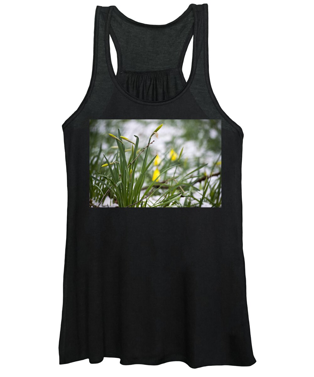 Daffodils Women's Tank Top featuring the photograph Snowy Daffodils by Spikey Mouse Photography