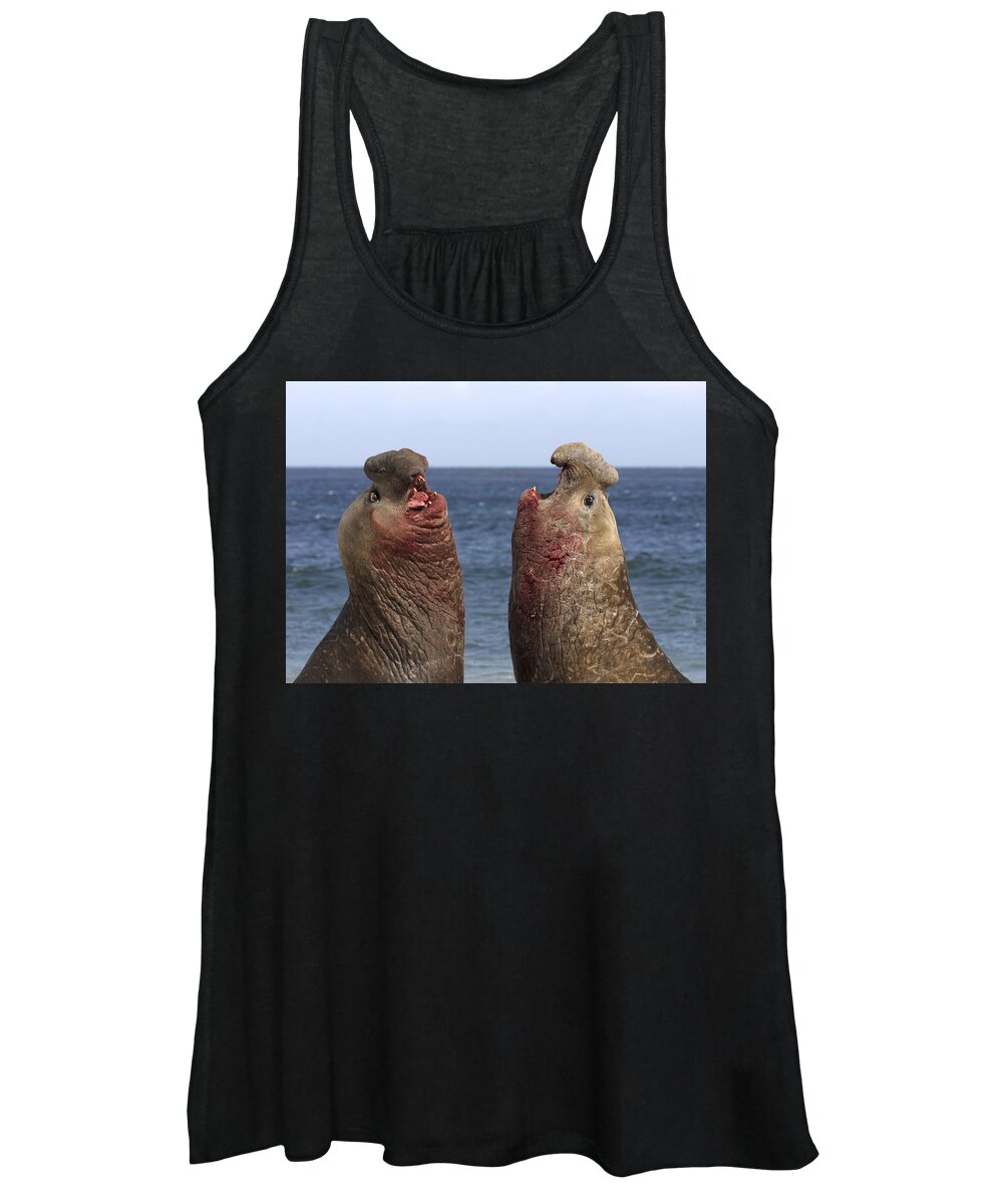 Feb0514 Women's Tank Top featuring the photograph Southern Elephant Seal Males Competing by Hiroya Minakuchi