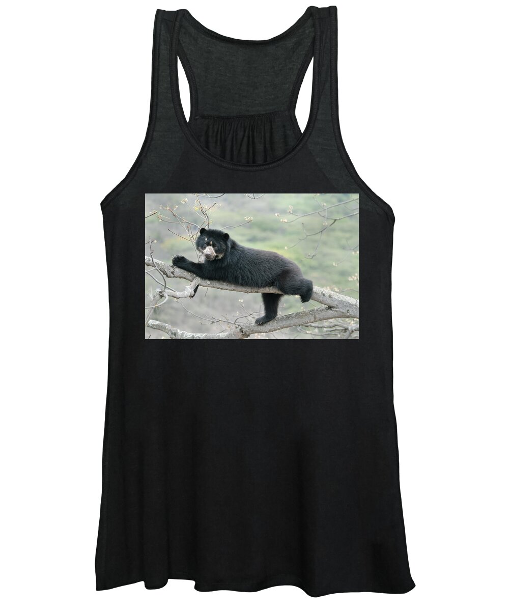 538036 Women's Tank Top featuring the photograph Spectacled Bear Chaparri Reserve Peru by Kevin Schafer