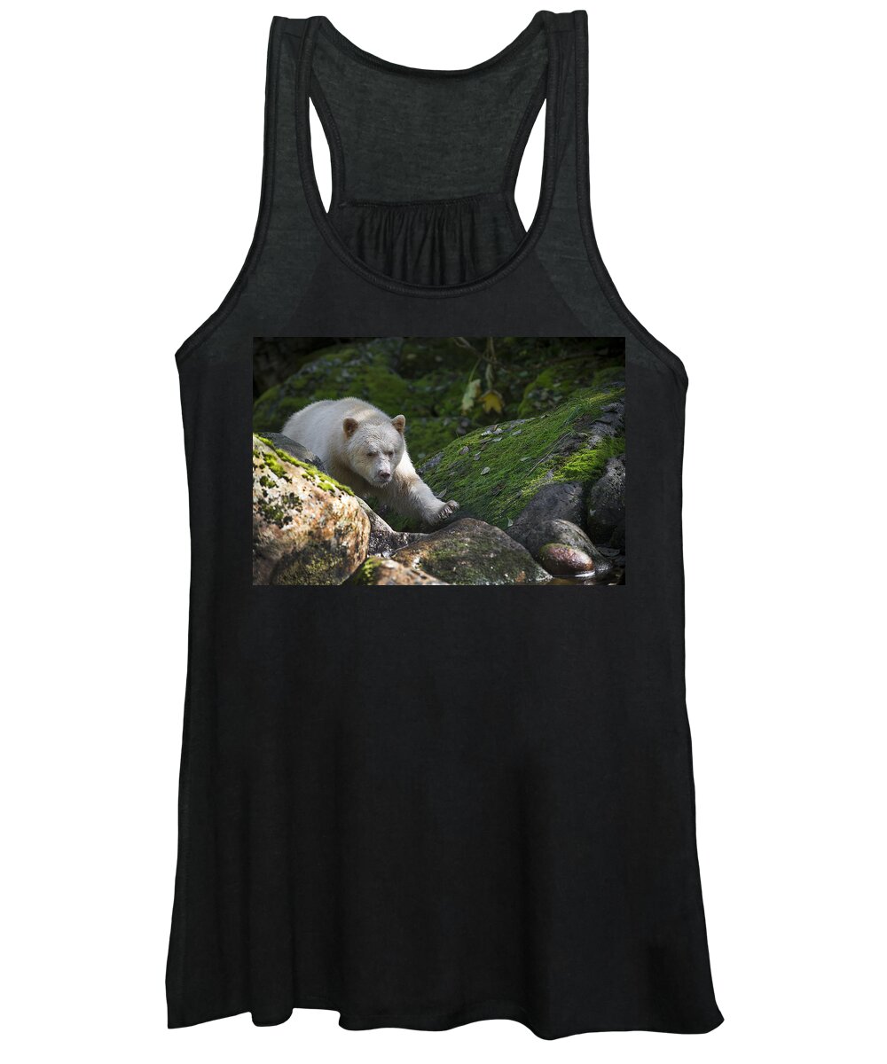 Bear Women's Tank Top featuring the photograph Spirit Bear Up Close by Bill Cubitt