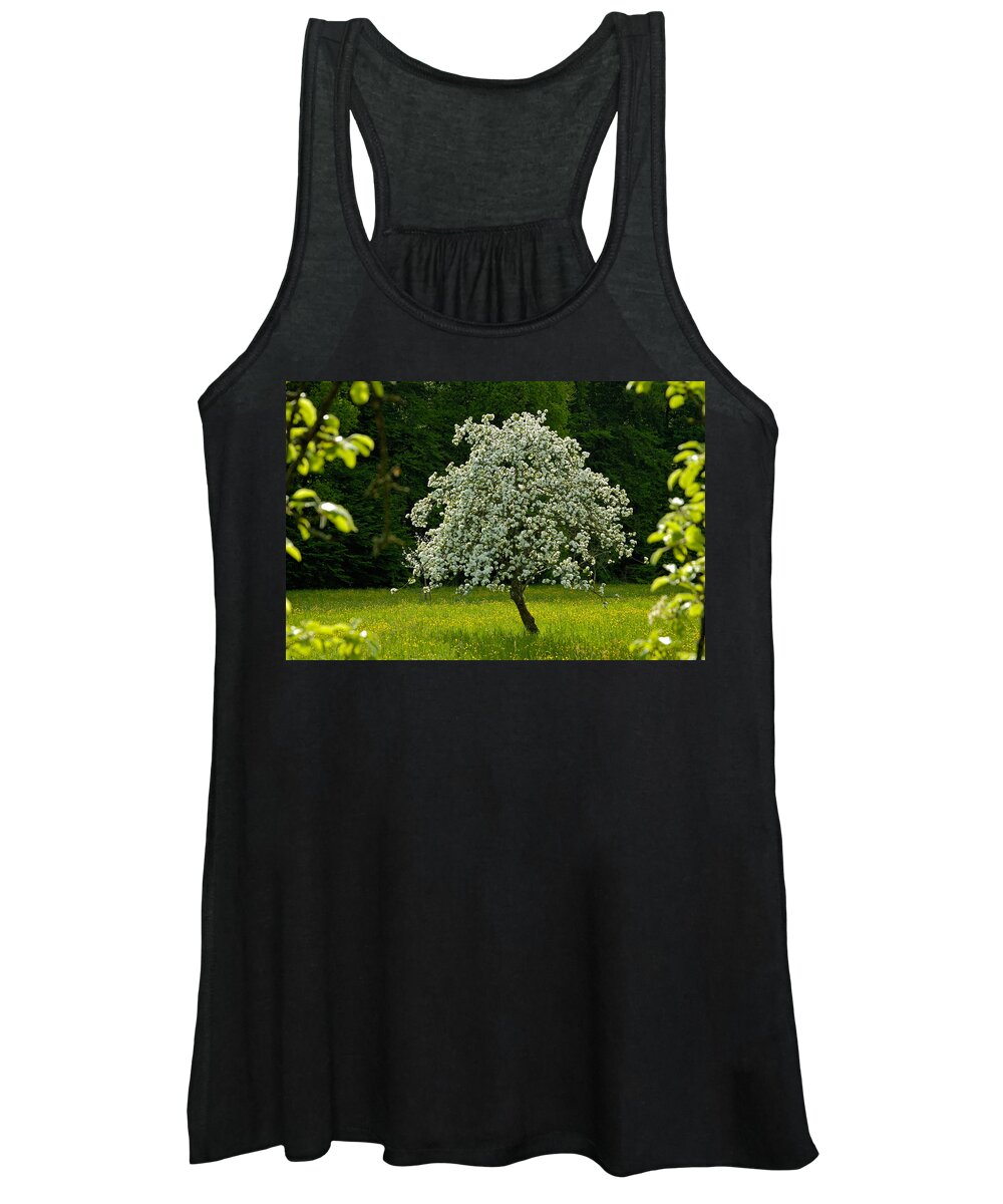 Spring Women's Tank Top featuring the photograph Spring - blooming apple tree and green meadow by Matthias Hauser