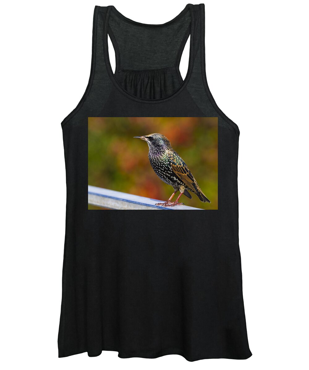 Starling Women's Tank Top featuring the photograph Starling Sturnus vulgaris by Chris Smith