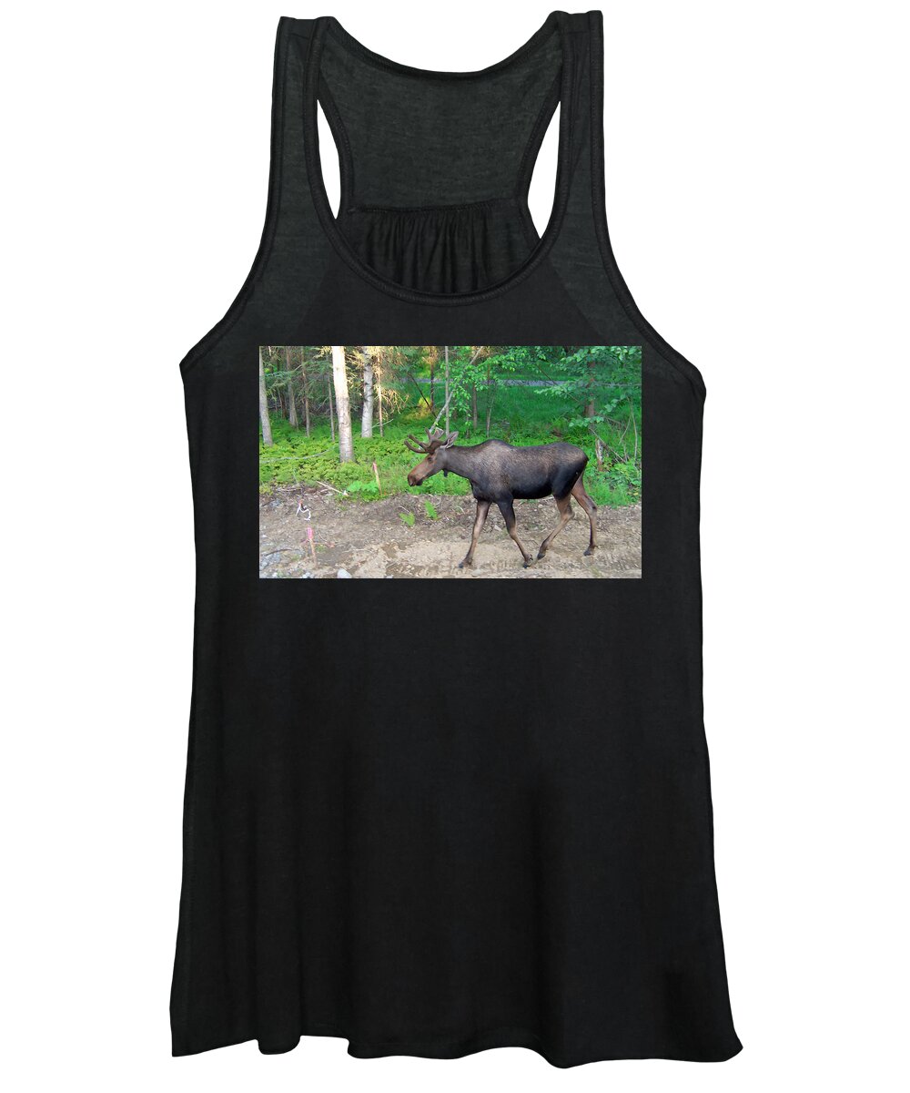Alaska Women's Tank Top featuring the photograph Strollin by Aimee L Maher ALM GALLERY