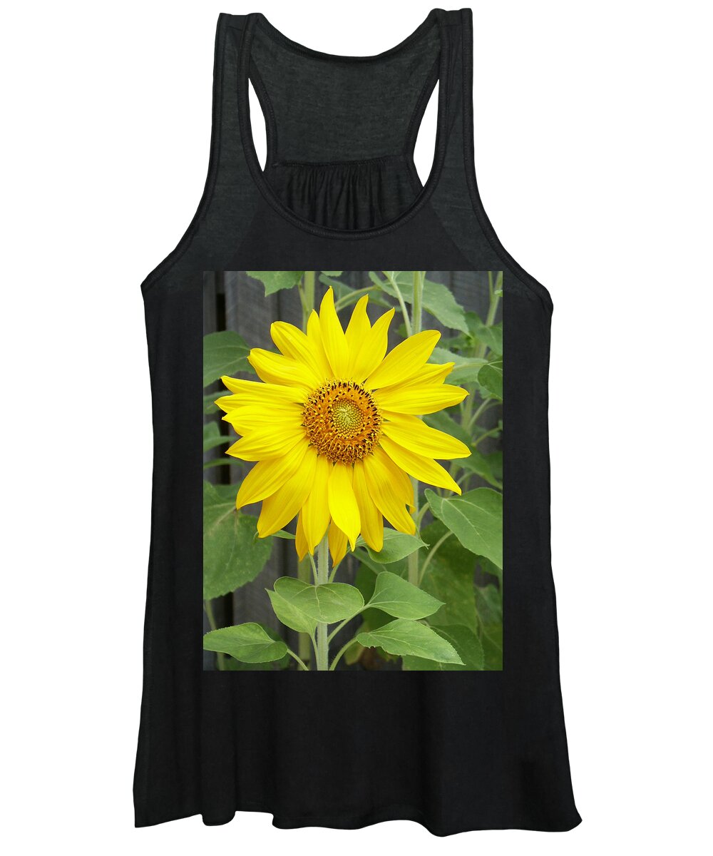Helianthus Annuus Women's Tank Top featuring the photograph Sunflower by Lisa Phillips