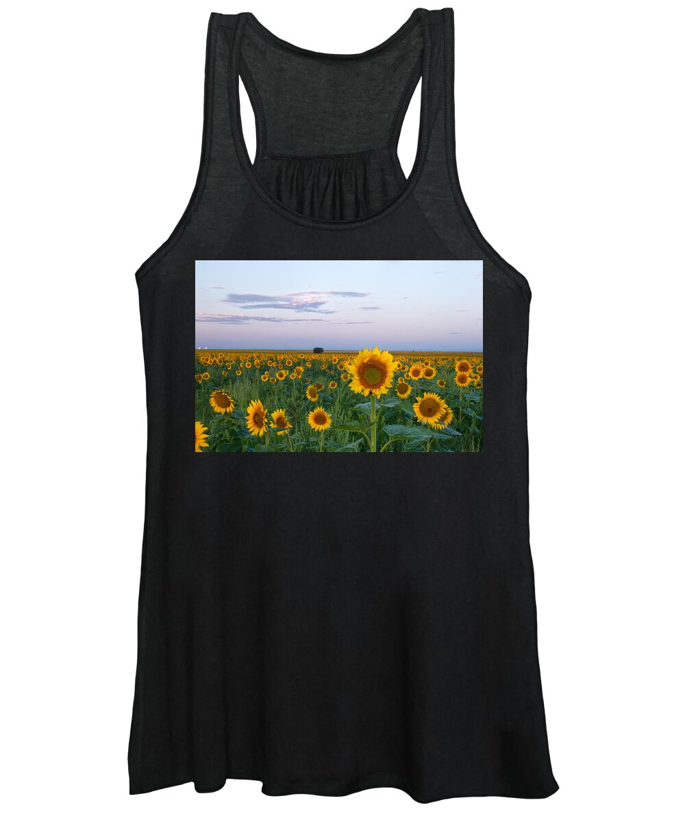 Sunflower Women's Tank Top featuring the photograph Sunflowers at Sunrise by Ronda Kimbrow