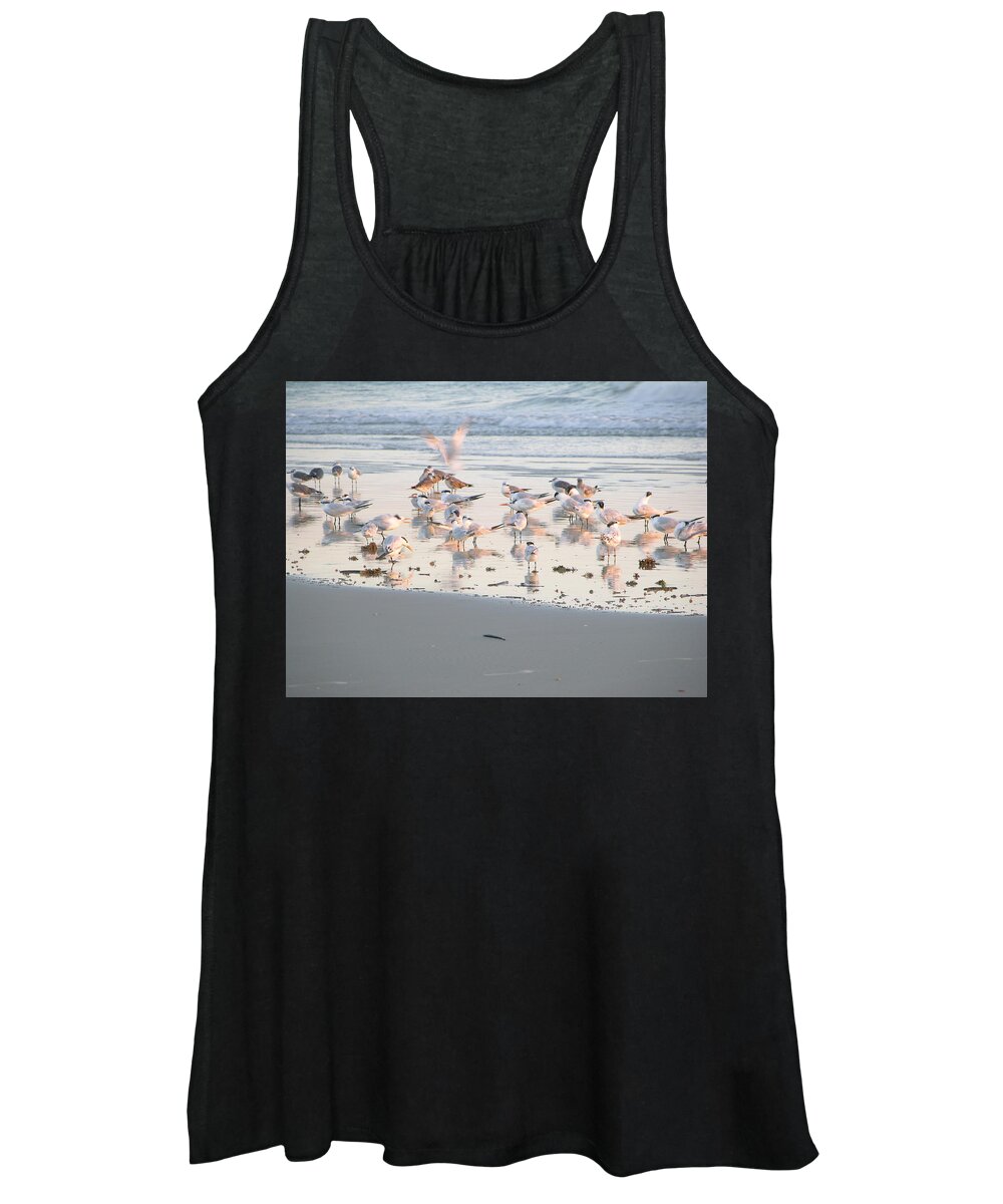 Terns Women's Tank Top featuring the photograph Terns And Gulls by Julianne Felton