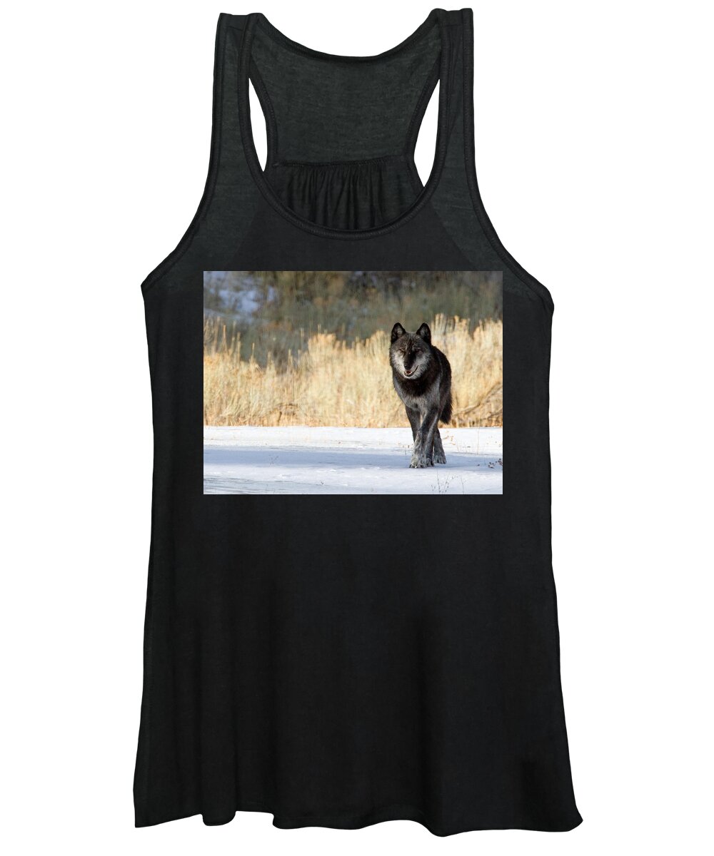 Yellowstone National Park Women's Tank Top featuring the photograph The Old Man by Max Waugh