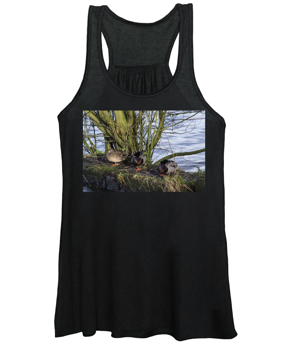  Duck Women's Tank Top featuring the photograph Three In A Row by Spikey Mouse Photography
