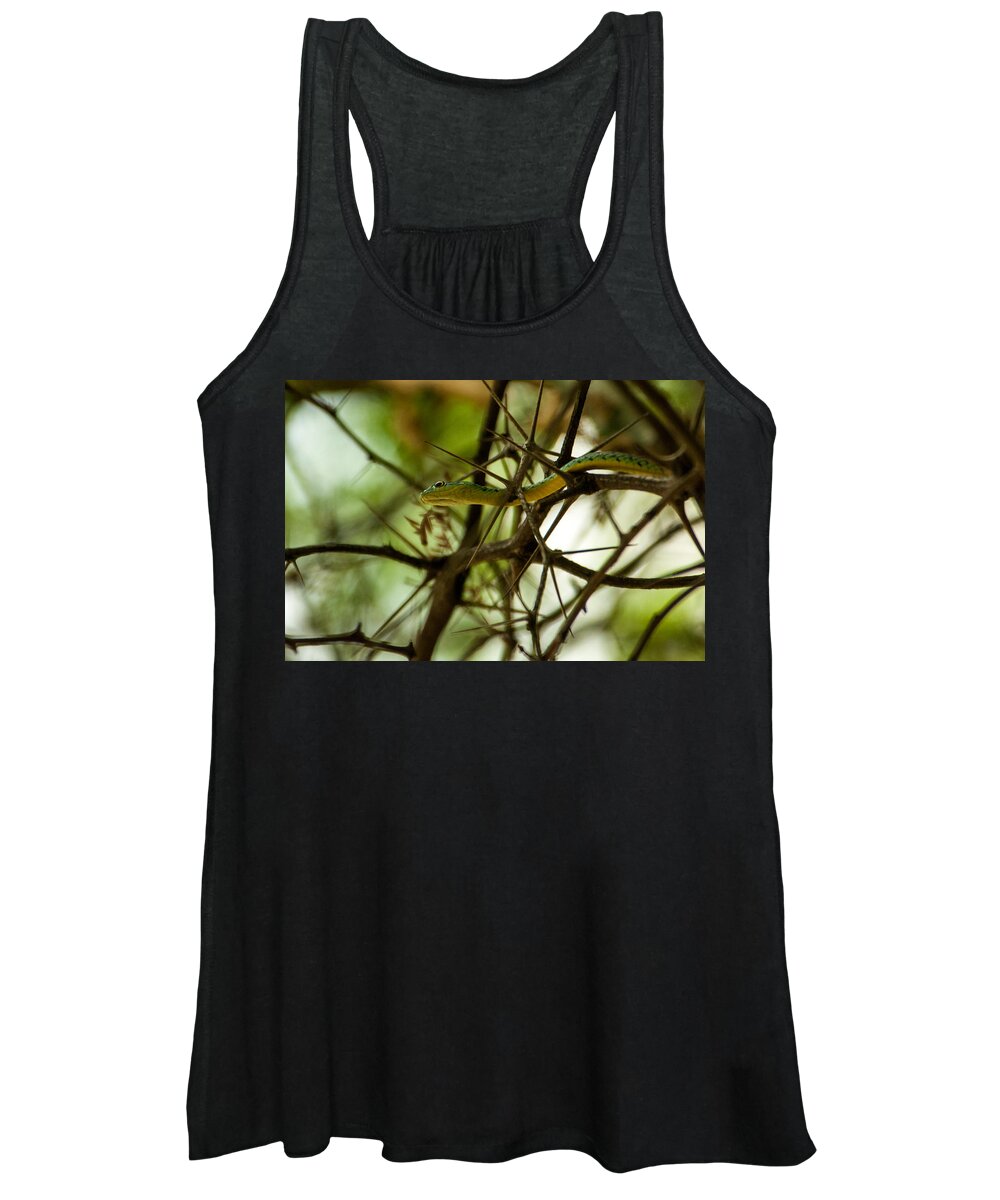 Africa Women's Tank Top featuring the photograph Tree snake 2 by Alistair Lyne