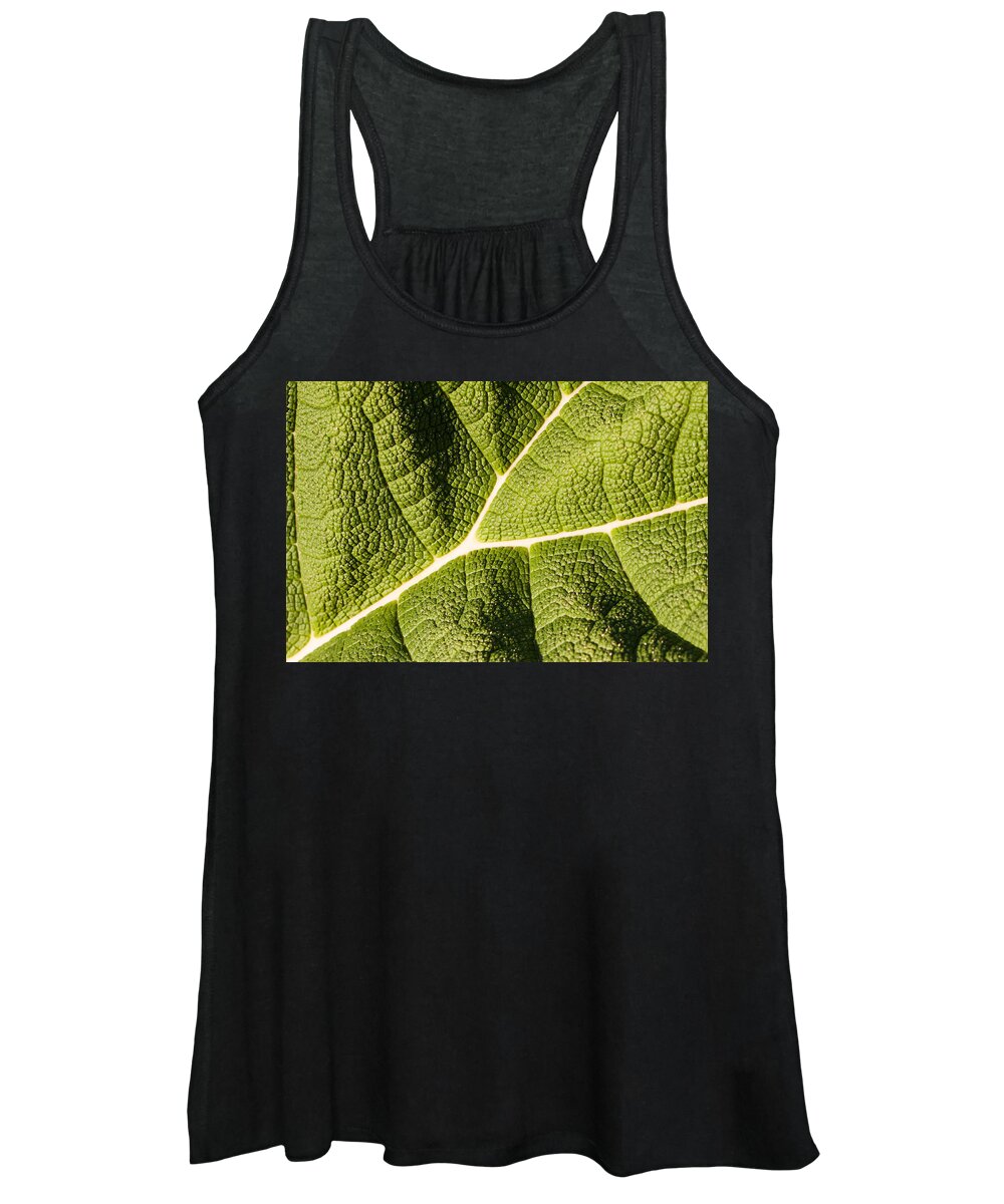 Botanical Women's Tank Top featuring the photograph Veins of a Leaf by John Wadleigh