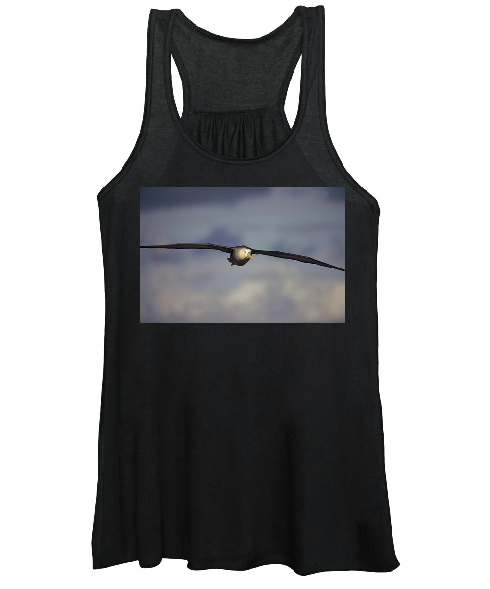 Feb0514 Women's Tank Top featuring the photograph Waved Albatross Flying Galapagos Islands by Tui De Roy