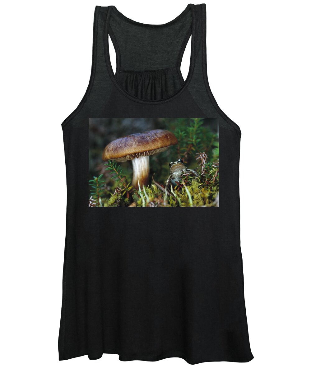 Feb0514 Women's Tank Top featuring the photograph Wood Frog And Mushroom Alaska by Michael Quinton