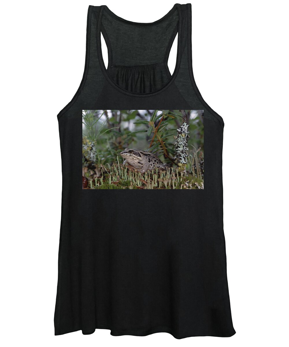 Feb0514 Women's Tank Top featuring the photograph Wood Frog On Forest Floor Alaska by Michael Quinton