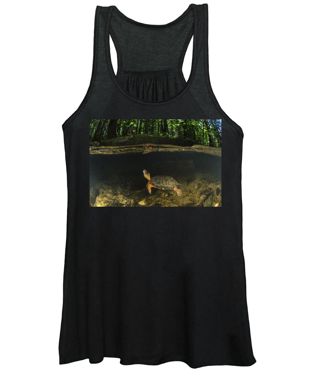 Pete Oxford Women's Tank Top featuring the photograph Wood Turtle Swimming North America by Pete Oxford