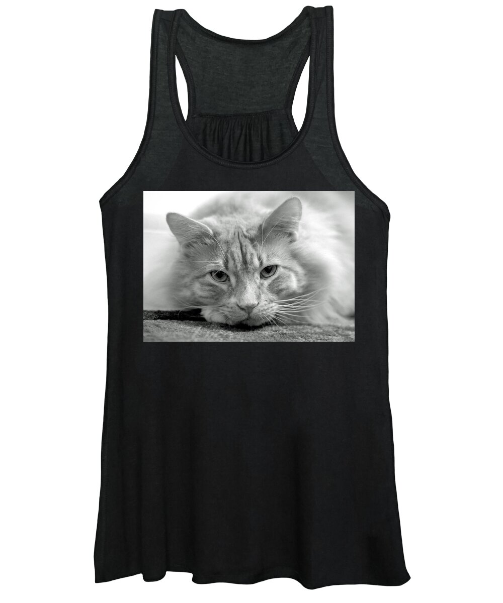 Animals Women's Tank Top featuring the photograph Arthur by Lisa Phillips