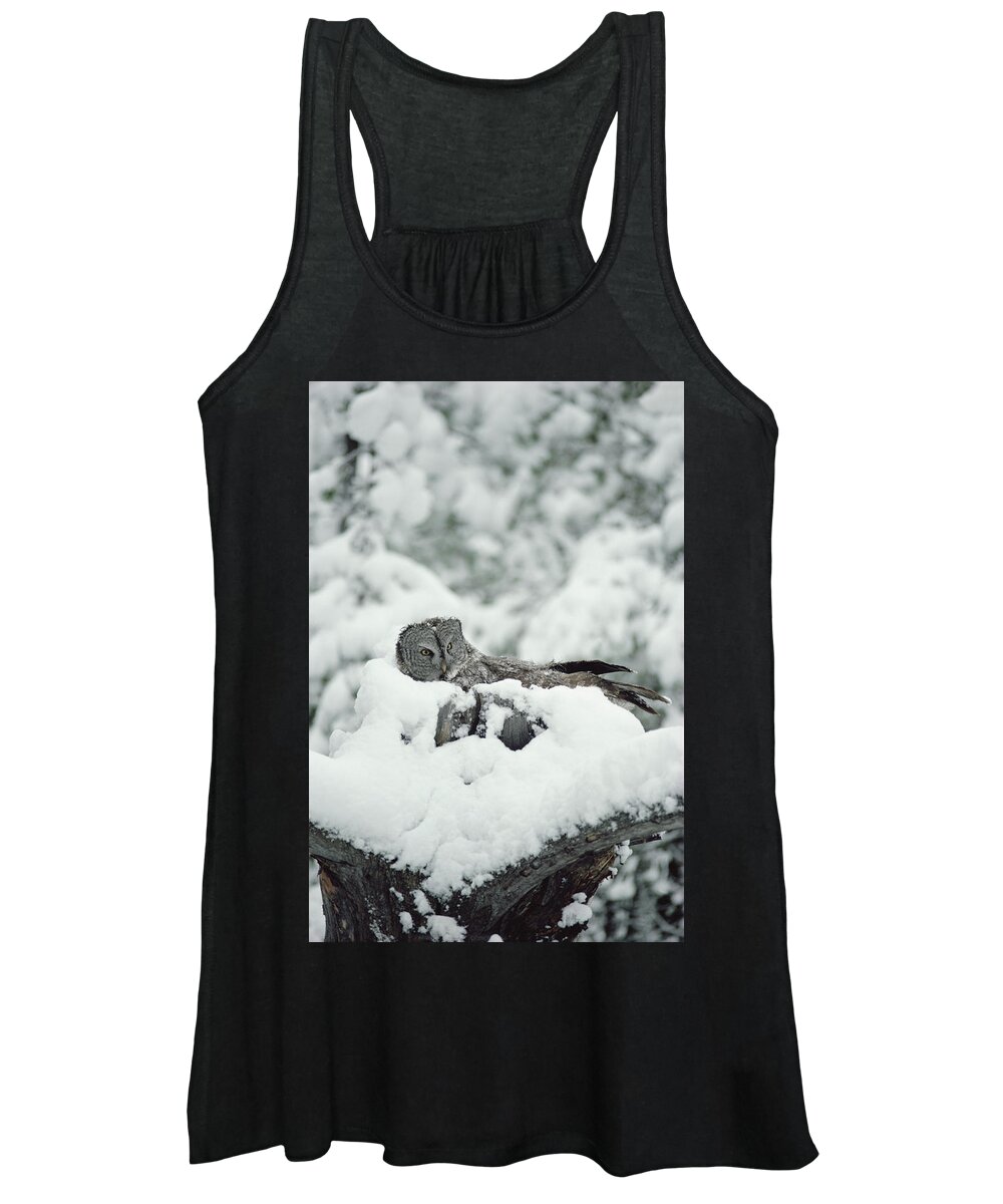 Mp Women's Tank Top featuring the photograph Great Gray Owl Strix Nebulosa Parent #1 by Michael Quinton