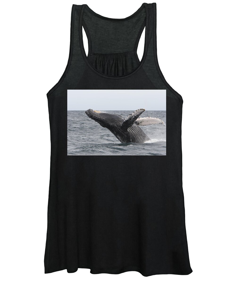 00448009 Women's Tank Top featuring the photograph Humpback Whale Breaching Baja #1 by Suzi Eszterhas