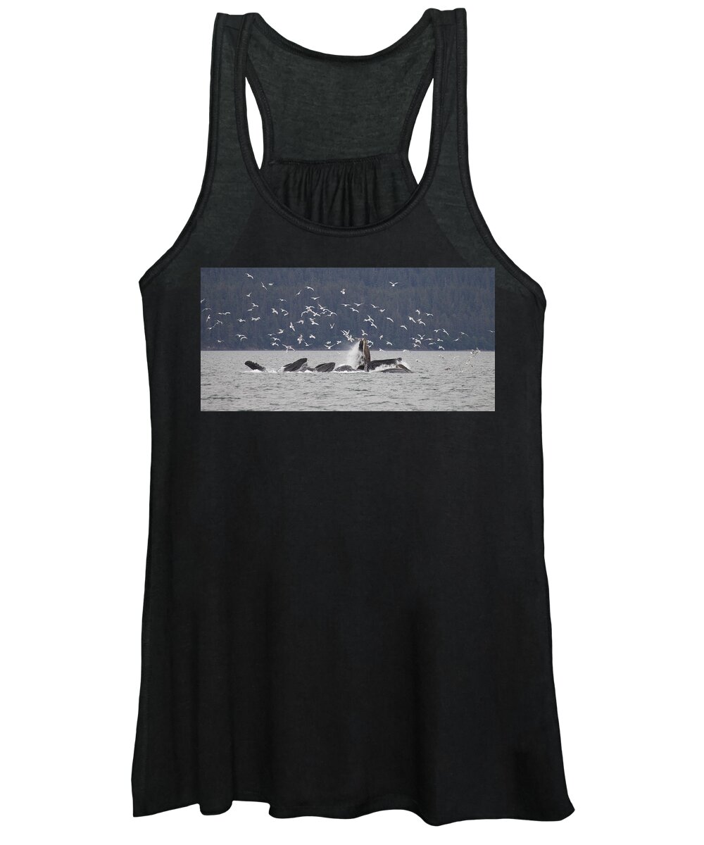 Mp Women's Tank Top featuring the photograph Humpback Whale Megaptera Novaeangliae #1 by Matthias Breiter