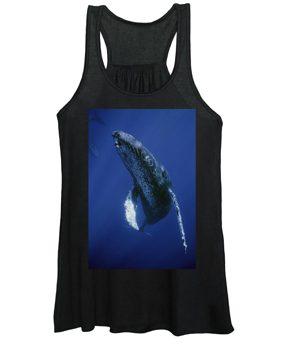 00129865 Women's Tank Top featuring the photograph Humpback Whale Singer Maui Hawaii #1 by Flip Nicklin
