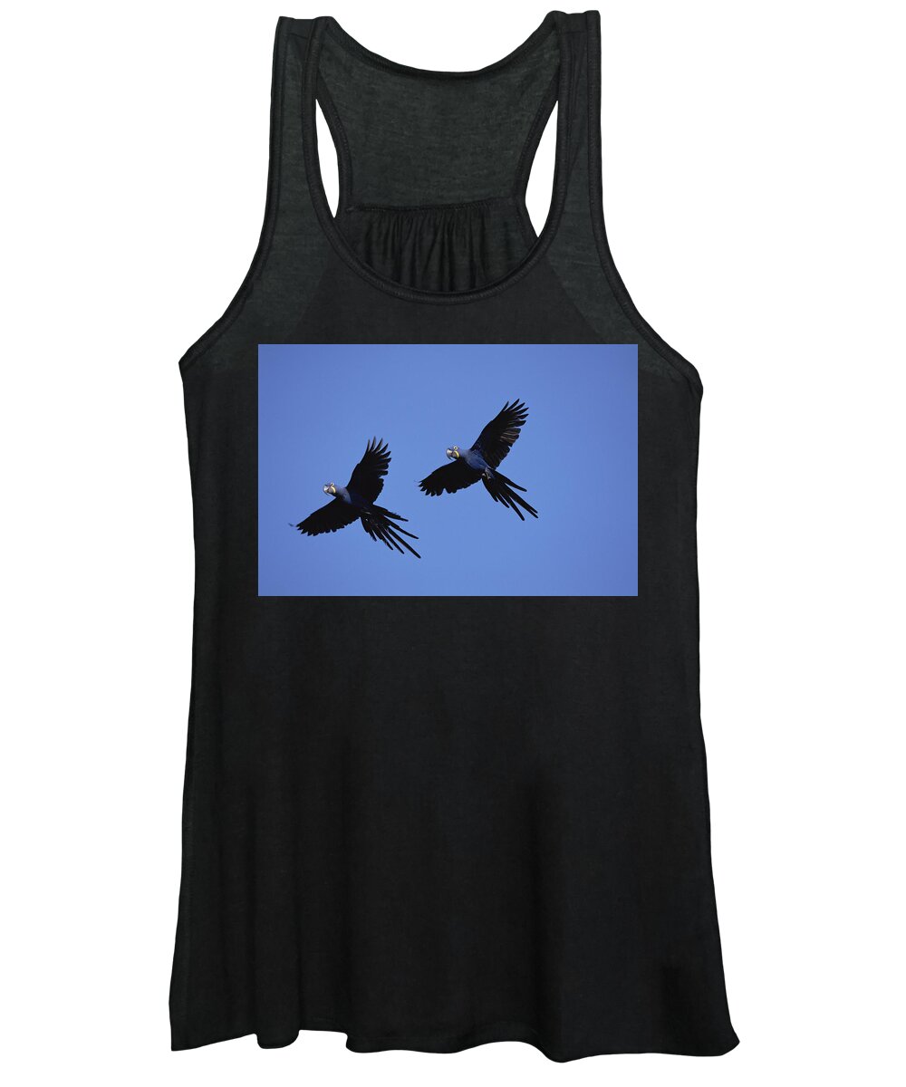 Mp Women's Tank Top featuring the photograph Hyacinth Macaw Anodorhynchus #1 by Konrad Wothe