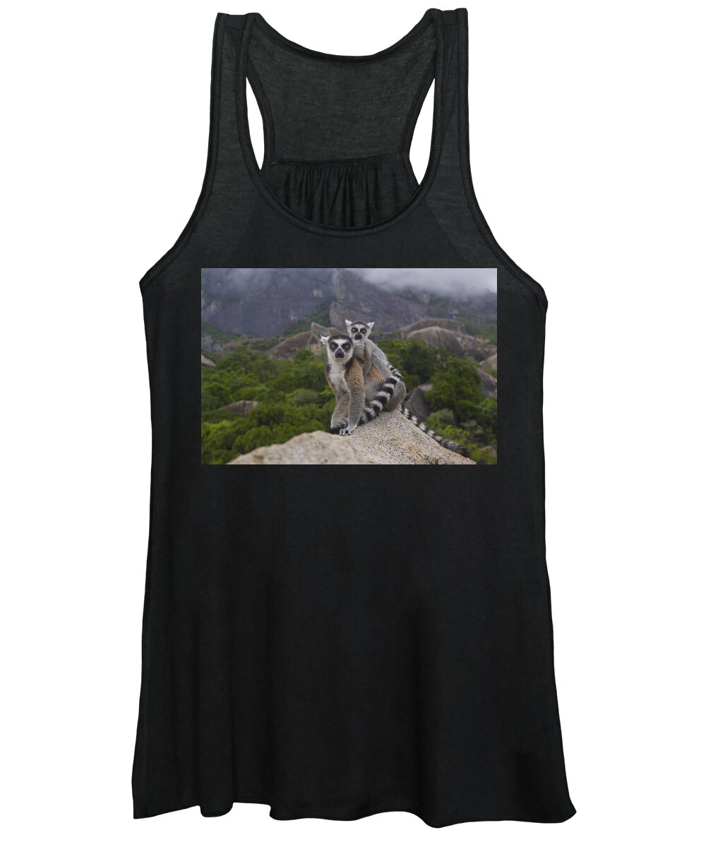 Mp Women's Tank Top featuring the photograph Ring-tailed Lemur Lemur Catta Mother #2 by Pete Oxford
