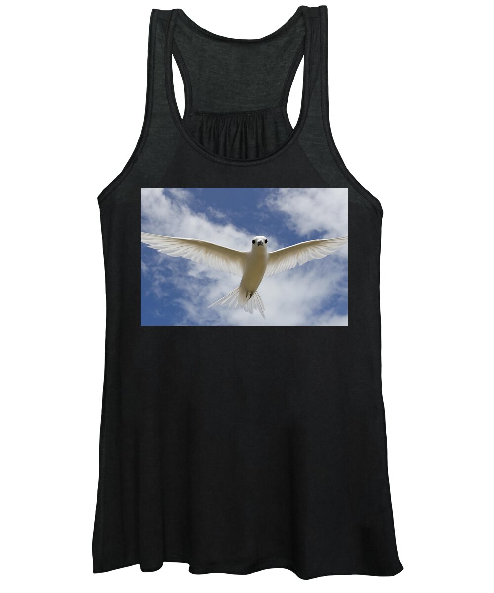 00429822 Women's Tank Top featuring the photograph White Tern Flying Midway Atoll Hawaiian #2 by Sebastian Kennerknecht