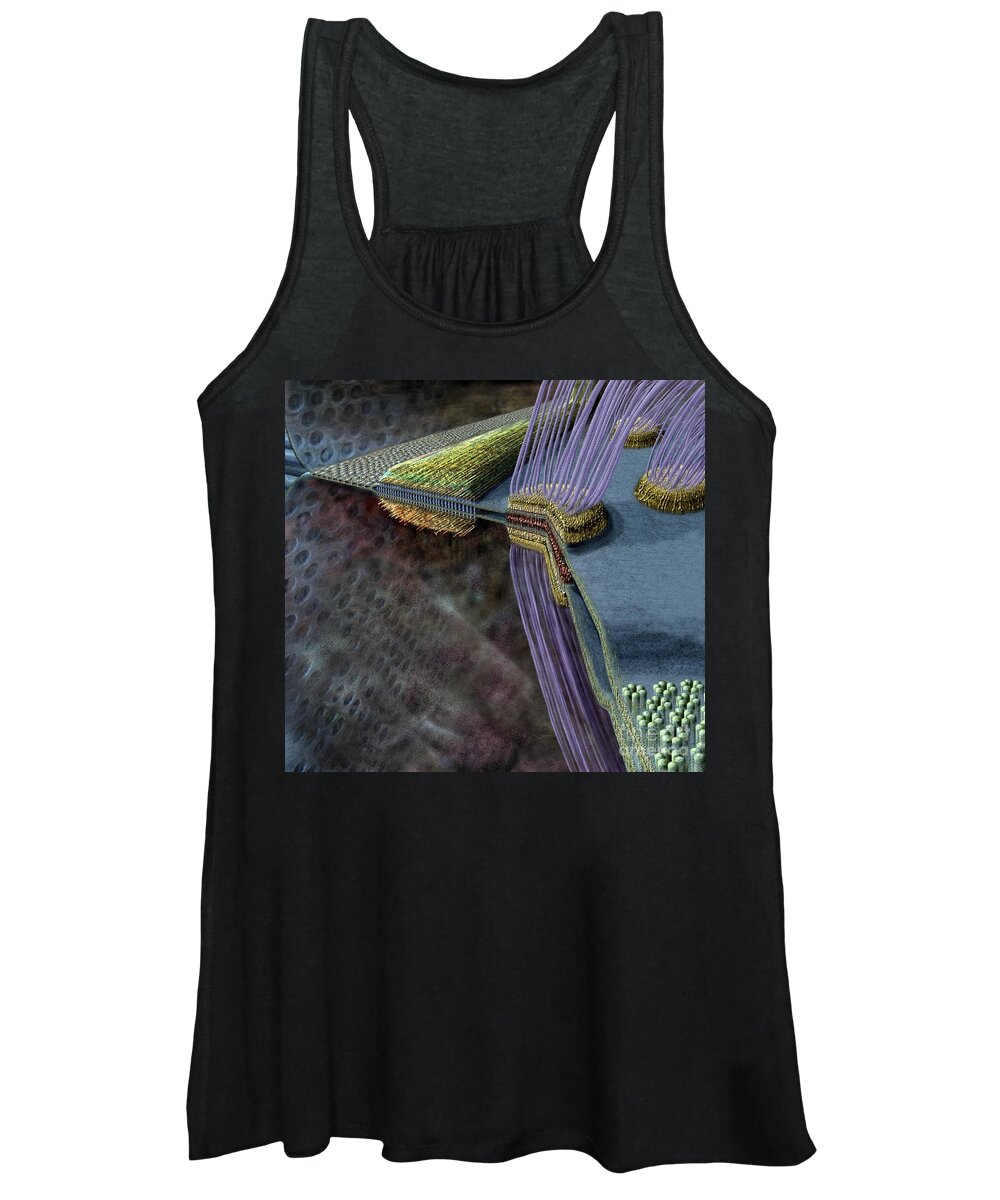 Adherens Women's Tank Top featuring the digital art Animal Cell Junctions by Russell Kightley