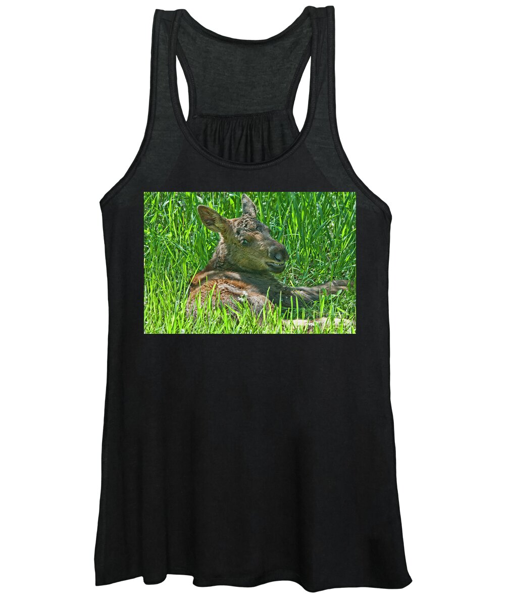 Moose Baby Women's Tank Top featuring the photograph Baby Moose by Gary Beeler