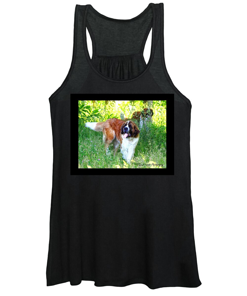 St. Bernards Women's Tank Top featuring the photograph 'Betty and Lou' by PJQandFriends Photography