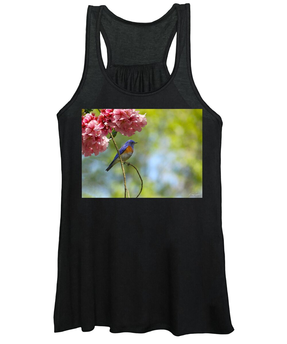 Bluebird Women's Tank Top featuring the photograph Bluebird in Cherry Tree by Diana Haronis