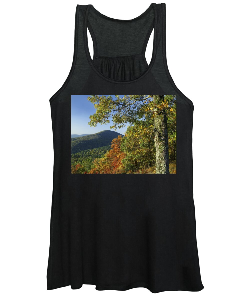 00176905 Women's Tank Top featuring the photograph Broadleaf Forest In Fall Colors As Seen by Tim Fitzharris