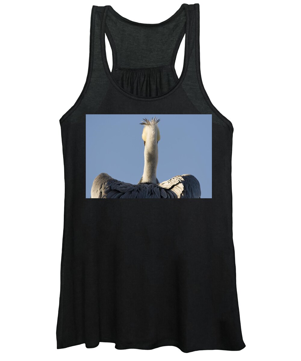 00429650 Women's Tank Top featuring the photograph Brown Pelican Drying Its Wings Natural by Sebastian Kennerknecht