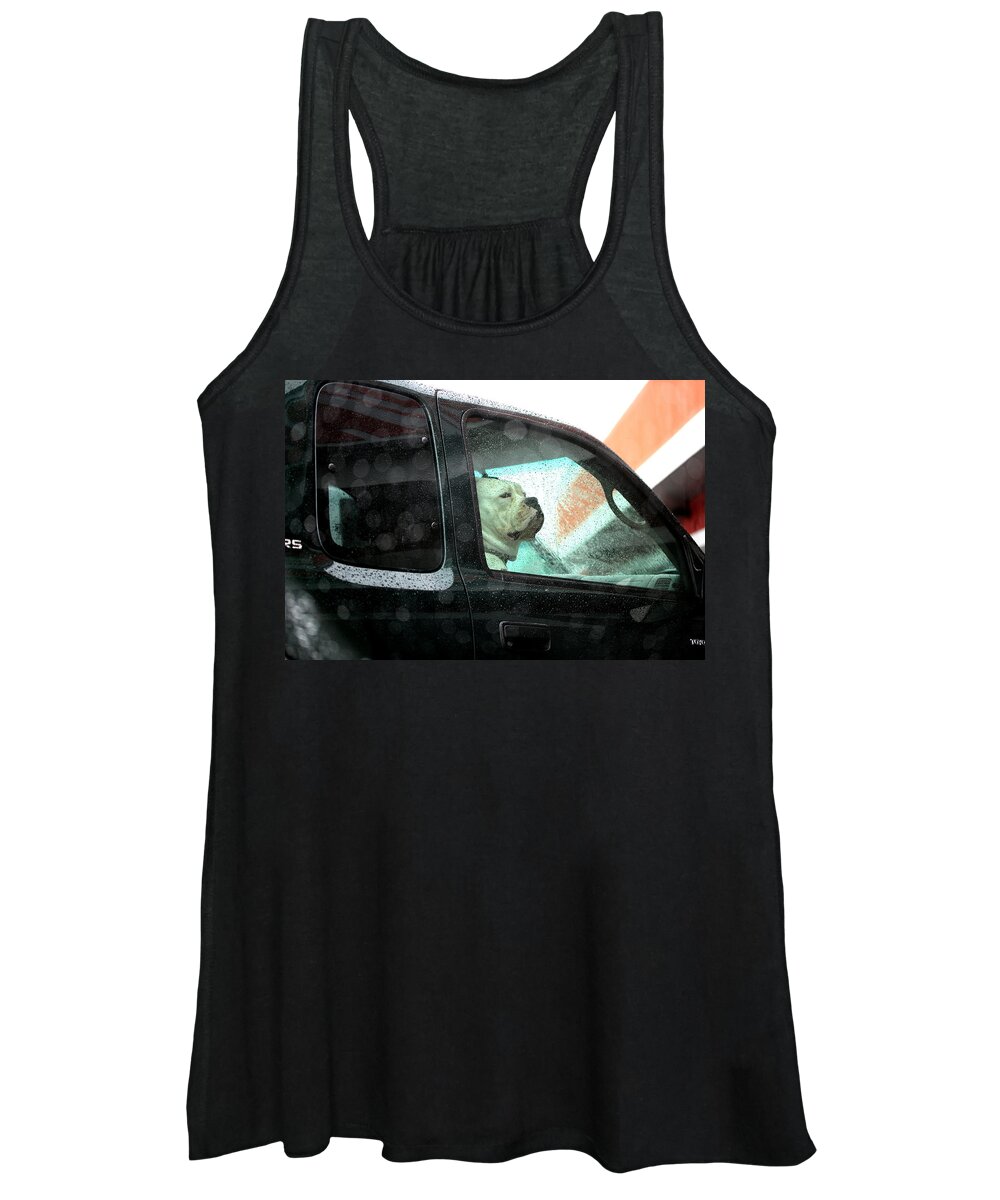 Dog Women's Tank Top featuring the photograph Bummed by Marie Jamieson