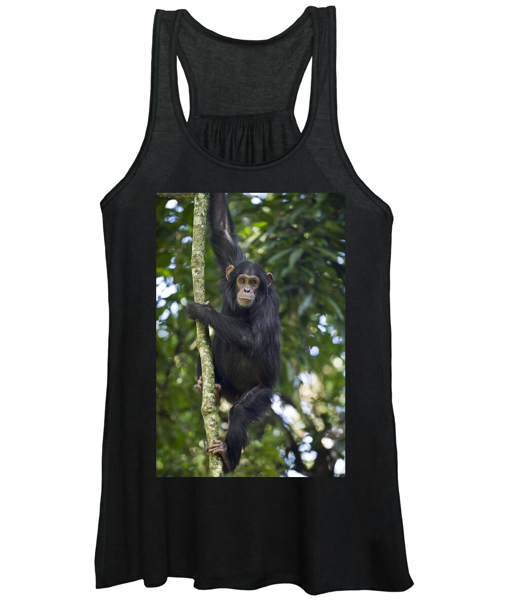 00438385 Women's Tank Top featuring the photograph Chimpanzee Subadult In Tree Western by Suzi Eszterhas