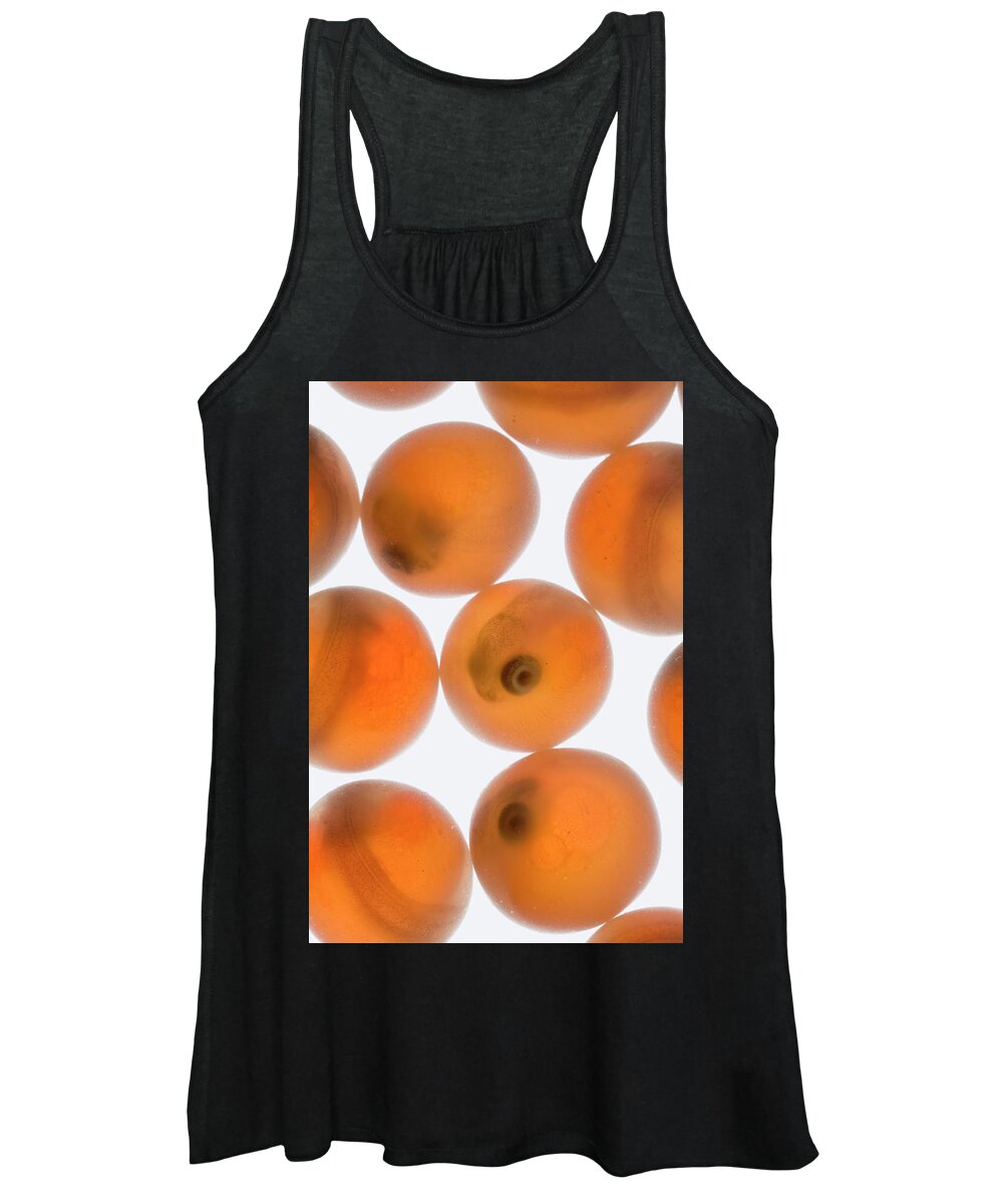 Mp Women's Tank Top featuring the photograph Coho Salmon Oncorhynchus Kisutch Eggs by Michael Durham