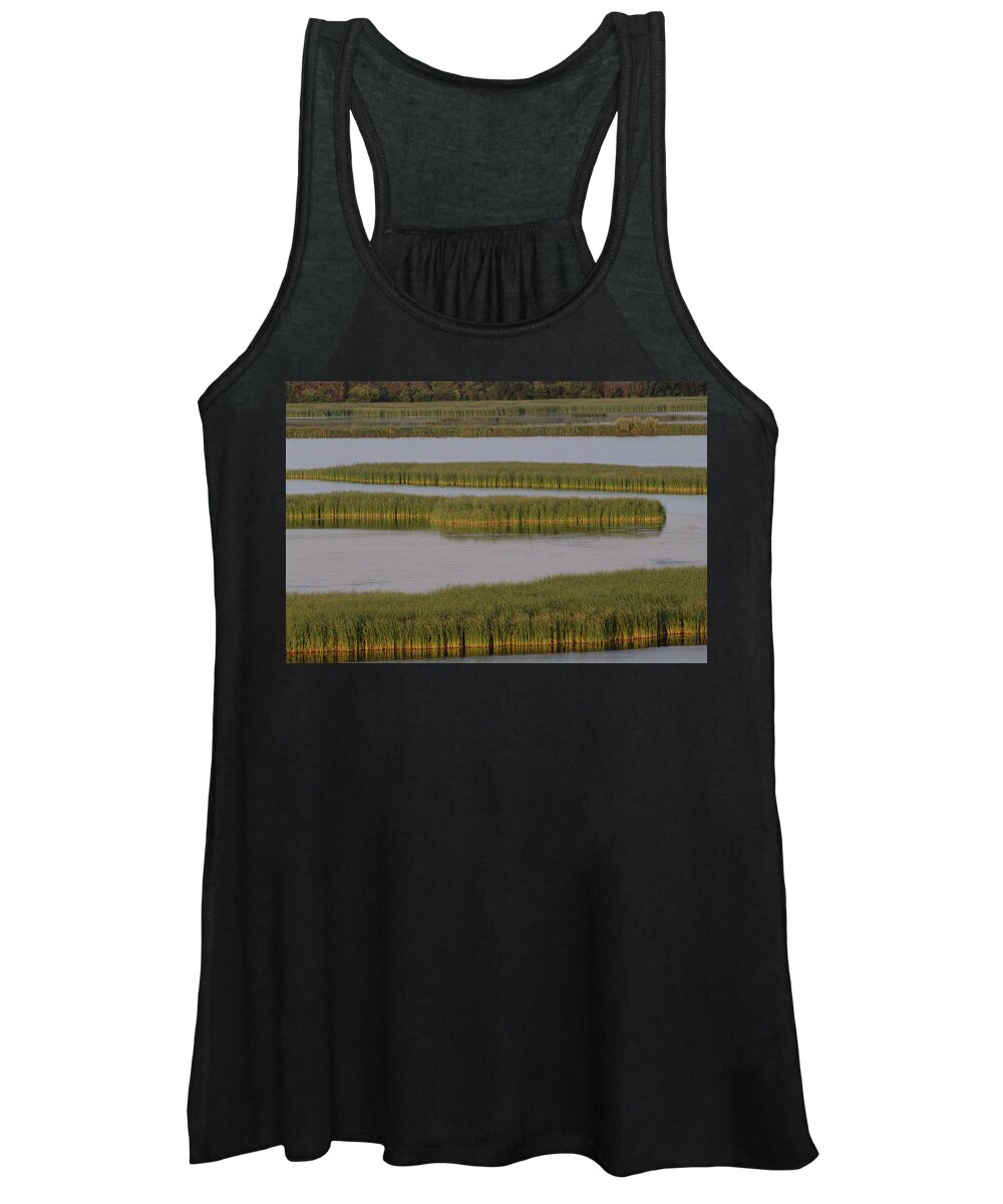 Mp Women's Tank Top featuring the photograph Common Cattail Typha Latifolia Marsh by Gerry Ellis