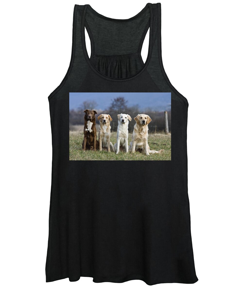 Mp Women's Tank Top featuring the photograph Domestic Dog Canis Familiaris Group by Konrad Wothe