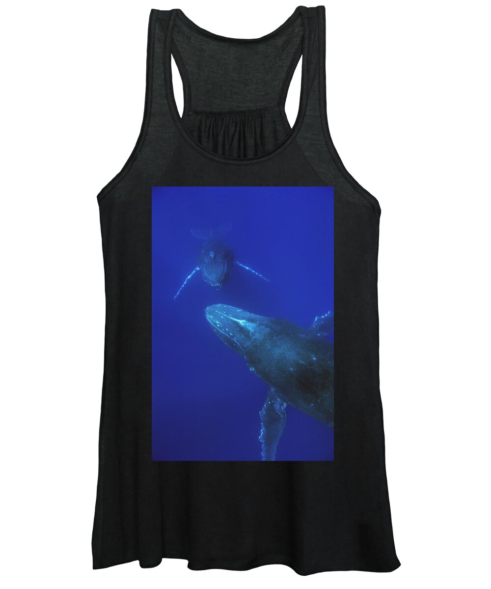 00999182 Women's Tank Top featuring the photograph Humpback Whale Pair Maui Hawaii by Flip Nicklin
