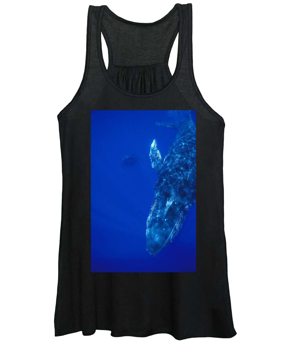 00128631 Women's Tank Top featuring the photograph Humpback Whale Singer And Joiner Maui by Flip Nicklin