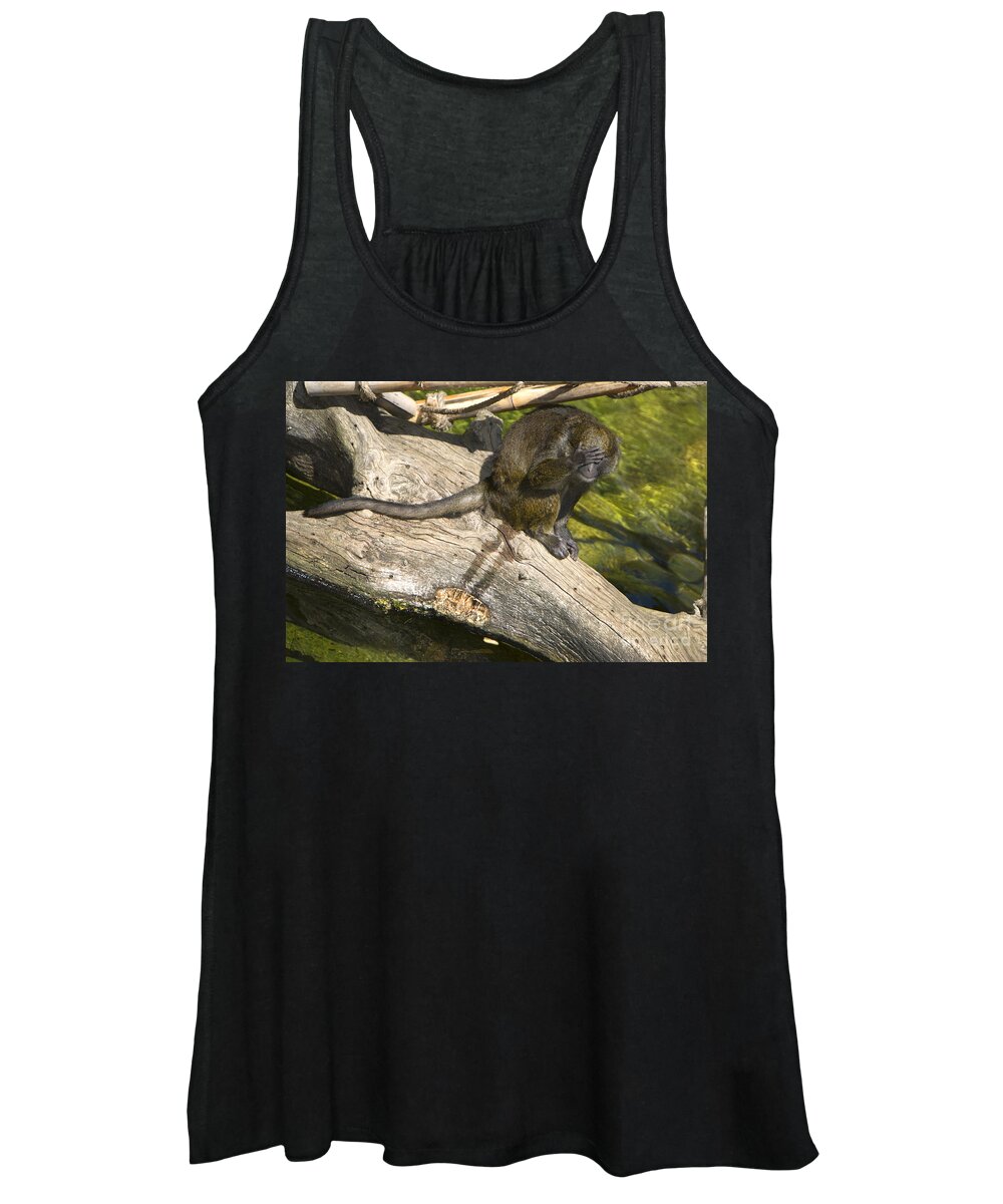 Monkey Women's Tank Top featuring the photograph I'm So Embarrassed by Daniel Knighton