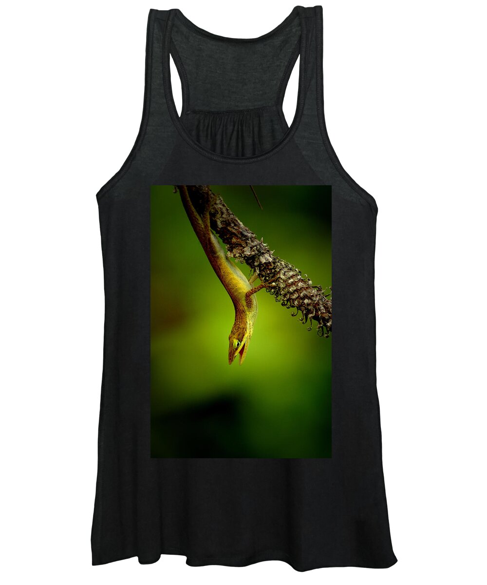Reptile Women's Tank Top featuring the photograph Lizard Speak by David Weeks