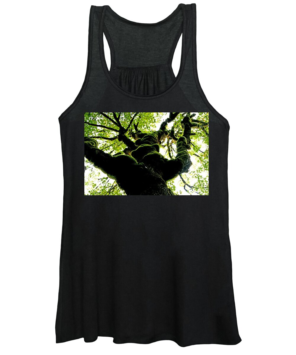Tree Women's Tank Top featuring the photograph Look Up by Marie Jamieson